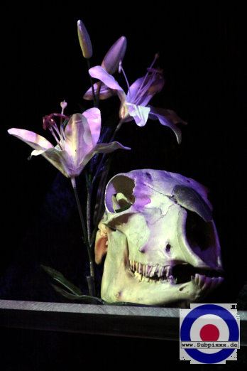 Ray Allen Trio (D) Helloween Bowl - Noels Ballroom Leipzig 30. Oktober 2011 (4).JPG